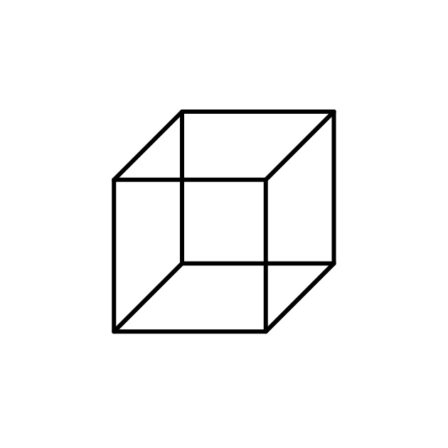 Necker cube 2024